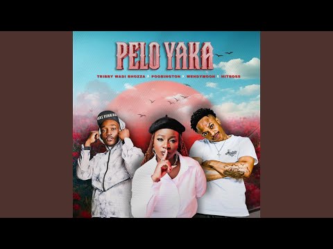 Pelo Yaka (feat. Poobington, Wendy Moon & Hitboss SA)