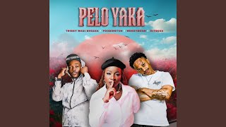 Pelo Yaka (feat. Poobington, Wendy Moon & Hitboss SA)