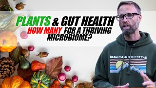 AND THE 4 P'S OF GUT HEALING -  For A Better Microbiome?