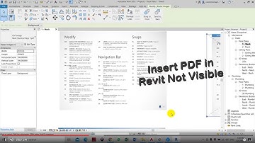 Insert PDF in Revit Not Visible