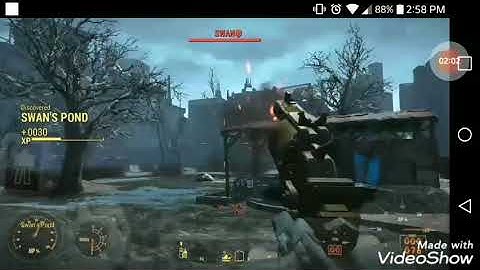 Killing swan at low level