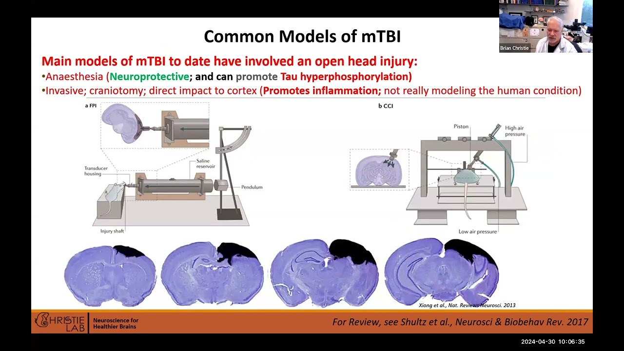 Precisionary Webinar: Brian Christie on ""Traumatic brain injury TBI changes in synaptic plasticity"
