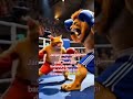 O'yen VS Harimau #shortvideo #kucinganggoralucudanimut #cat #funny #kucing #kucinglucu