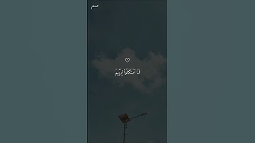 تلاوة هادئة تأخذك إلى عالم من الهدوء والسكينة بصوت الشيخ ماهر المعيقلي ♡ #ماهر_المعيقلي #short