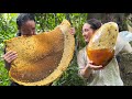 Harvesting Giant Forest Honey Goes to the market sell- Vàng Hoa