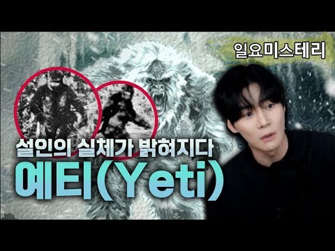 【미확인 생명체 예티(<strong>Yeti</strong>)의 진실!】네,  실제였습니다. ㅣ오컬트&amp;amp;일요미스테리ㅣ