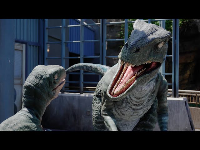 Parque Jurassico Bebe Raptor Raptor Encounter | Universal's Islands Of