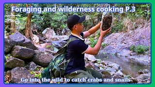 Foraging Cooking-P3-|go into the tropical forest to catch crabs|VinhSon TV