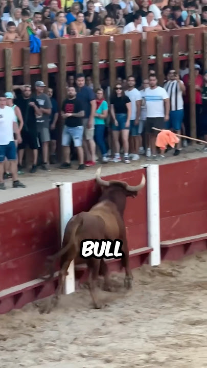 This Bull Will Take His Revenge!