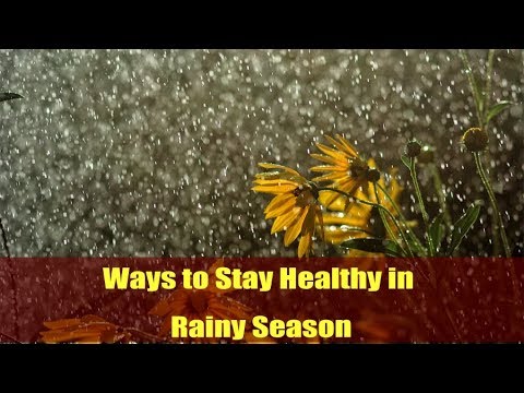 बारिश में इन बातों का ध्यान रहे | Stay Healthy in Rainy Season