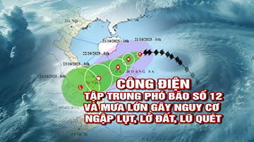 Quảng Ngãi: Công điện ứng phó bão số 12 và mưa lớn gây nguy cơ ngập lụt, lở đất, lũ quét