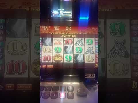 馃毃馃毃HIGH LIMIT BET PAYS OFF HUGE! #slot #casino #jackpot