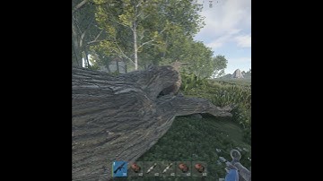 Sus or Not? | Rust #Shorts