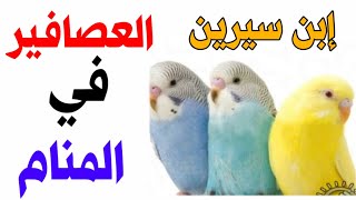 العصافير الملونة في المنام