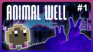 One of the BEST Puzzle Games I've Ever Played! | Animal Well | Episode 01