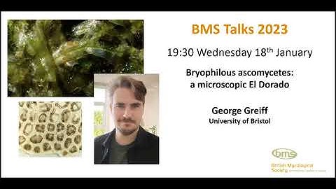 BMS Talks: George Greiff – Bryophilous ascomycetes: a microscopic El Dorado