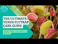 Ultimate venus flytrap care guide