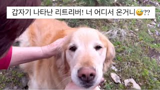 뒷산에 나타난 골든리트리버와의 첫만남은 너무~!!#너 ENFP지?