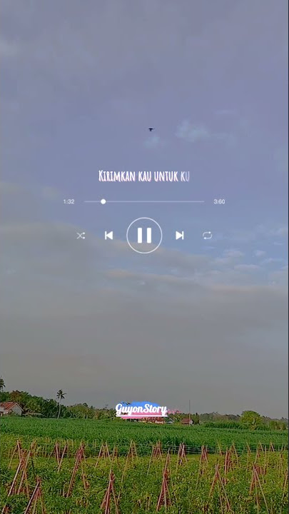 StoryWA Lagu Widodari Denny caknan