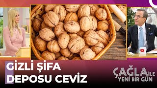 Ceviz Ve Ceviz Suyunun Faydaları - Çağla İle Yeni Bir Gün 682. Bölüm