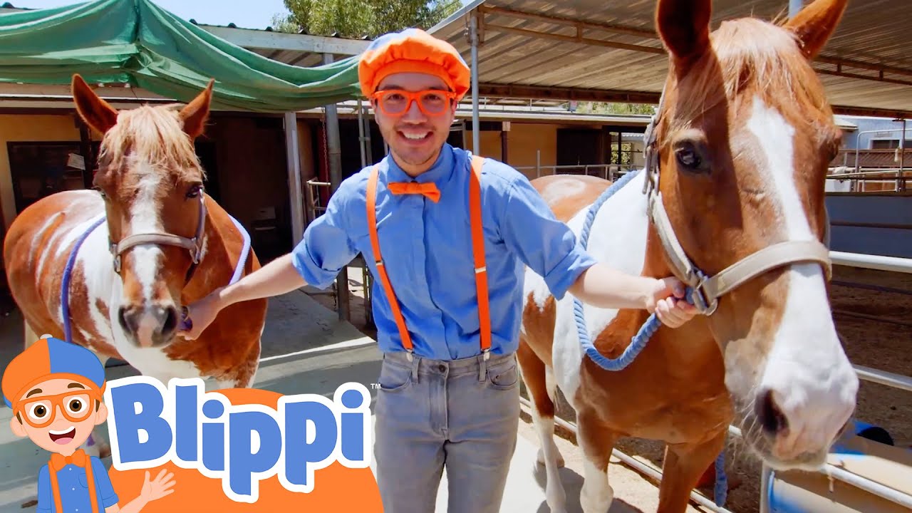 Blippi Learns About Animals At Danny's Farm! | Fun and Educational Videos  for Kids - YouTube