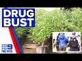 Thousands of cannabis plants seized from covert grow house  9 news australia