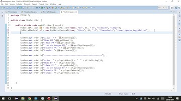 POO - Vídeo Aula - Herança/Construtor - Atividade 04