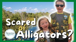 Shark Valley Tram Tour - Alligators All Around! - Everglades National Park, Florida