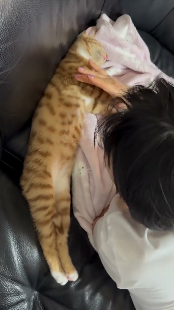 Top des vidéos très mignon ♥️ ❄️ ♥️ ❄️ ♥️ ❄️