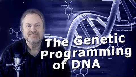 DNA: Genetic Programming