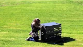 Impact Case Dog Crate Instructions This video demonstrates how to assemble your Impact Case & Container folding dog crate. For more information, visit www.