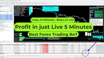 Next Generation AI Forex Bot – Real Market Performance with 100% Automated Trading #forex #trading