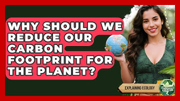 Why Should We Reduce Our Carbon Footprint For The Planet? - Explaining Ecology