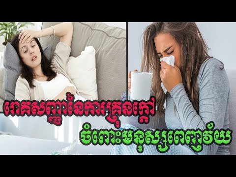 រោគសញ្ញានៃការកើតជំងឺគ្រុនក្តៅចំពោះមនុស្សពេញវ័យ