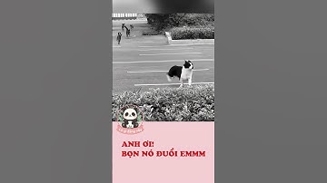 Anh ơi, tụi nó đuổi emmm I Có gì đăng nấy