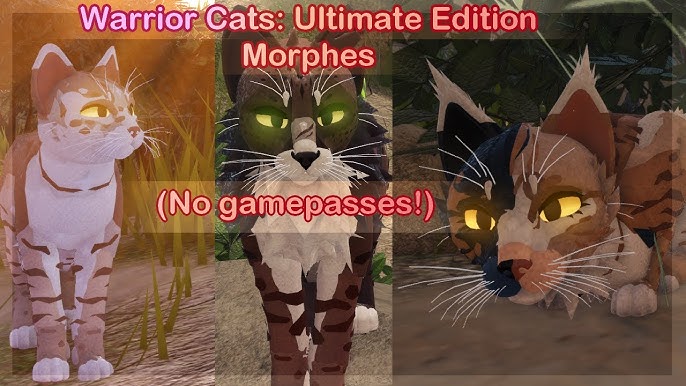 Spring Code Ideas?!?  Warrior Cats Ultimate Edition 