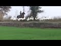 الشاعر عنتر رضوان