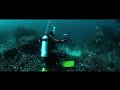 under water beautiful nature