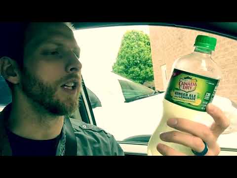 canada-dry-ginger-ale-and-lemonade-(a-neon-turtle-review)