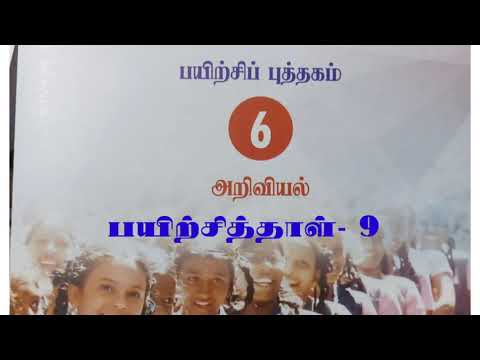 அரசு பயிற்சிப்புத்தகம்- 6- அறிவியல்- பயிற்சித்தாள் -9...