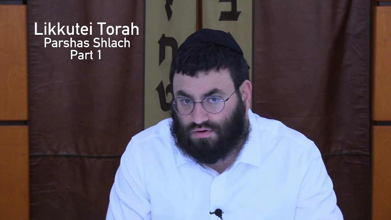 Artwork for podcast Chassidus with Rabbi S Greenwald