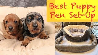 Best way to set up puppy pen nursery / Week 1-9
