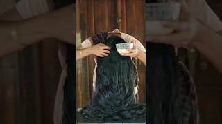 How to Remove Dandruff In One day | താരൻ മാറ്റാം ഇനി ഒരു ദിവസം മതി