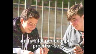 Is this a crush? (2) - Efecte Jove Vilassar de Dalt 2018