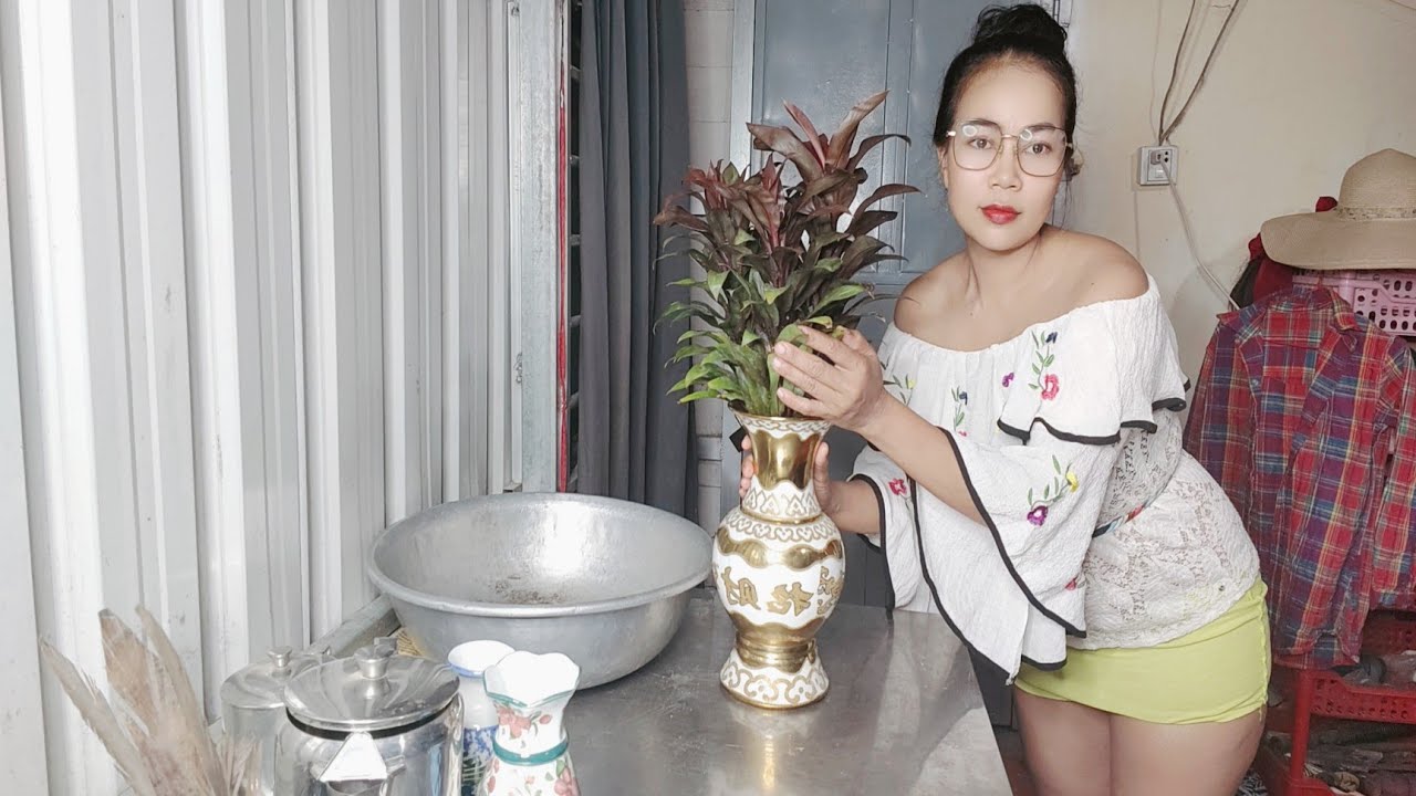 aku suka Tanaman Jenis Ini Dia Ada Warna Merah Sebaiknya Memberi Cinta