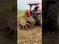 Desi jatt tractor  tractorshort  small farm tractor discription 