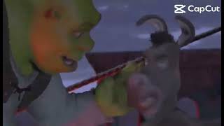 The whole shrek movie in 10 seconds