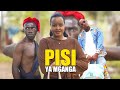 Pisi ya mganga