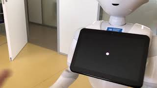Popper throwing a red ball by Pepper robot at CIIRC CTU Prague 453 views 5 years ago 7 seconds