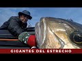 🔱PESCA SUBMARINA EN EL ESTRECHO. Pesca selectiva. ¿Hasta dónde eres capaz de llegar?